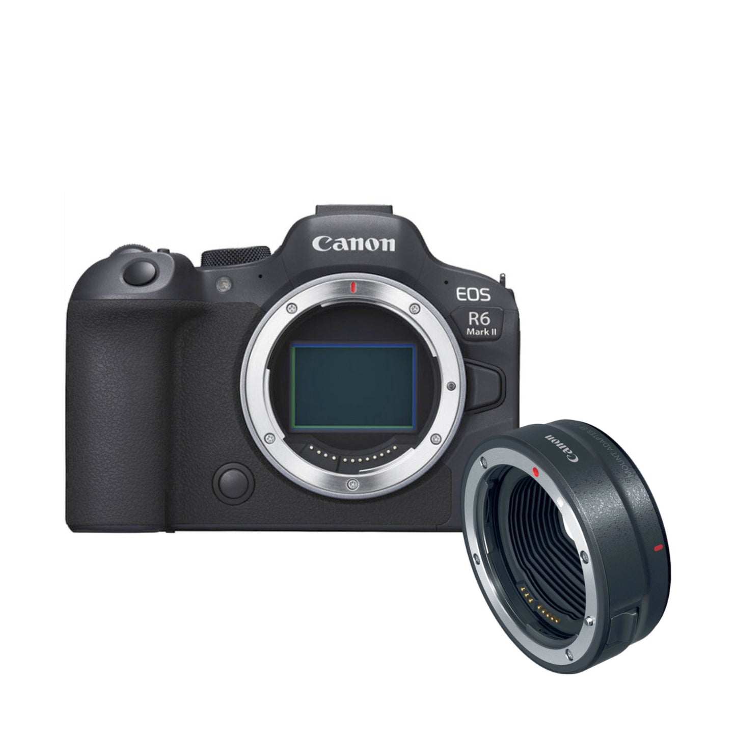 Canon R6 MK II Mirrorless camera w/ Adapter