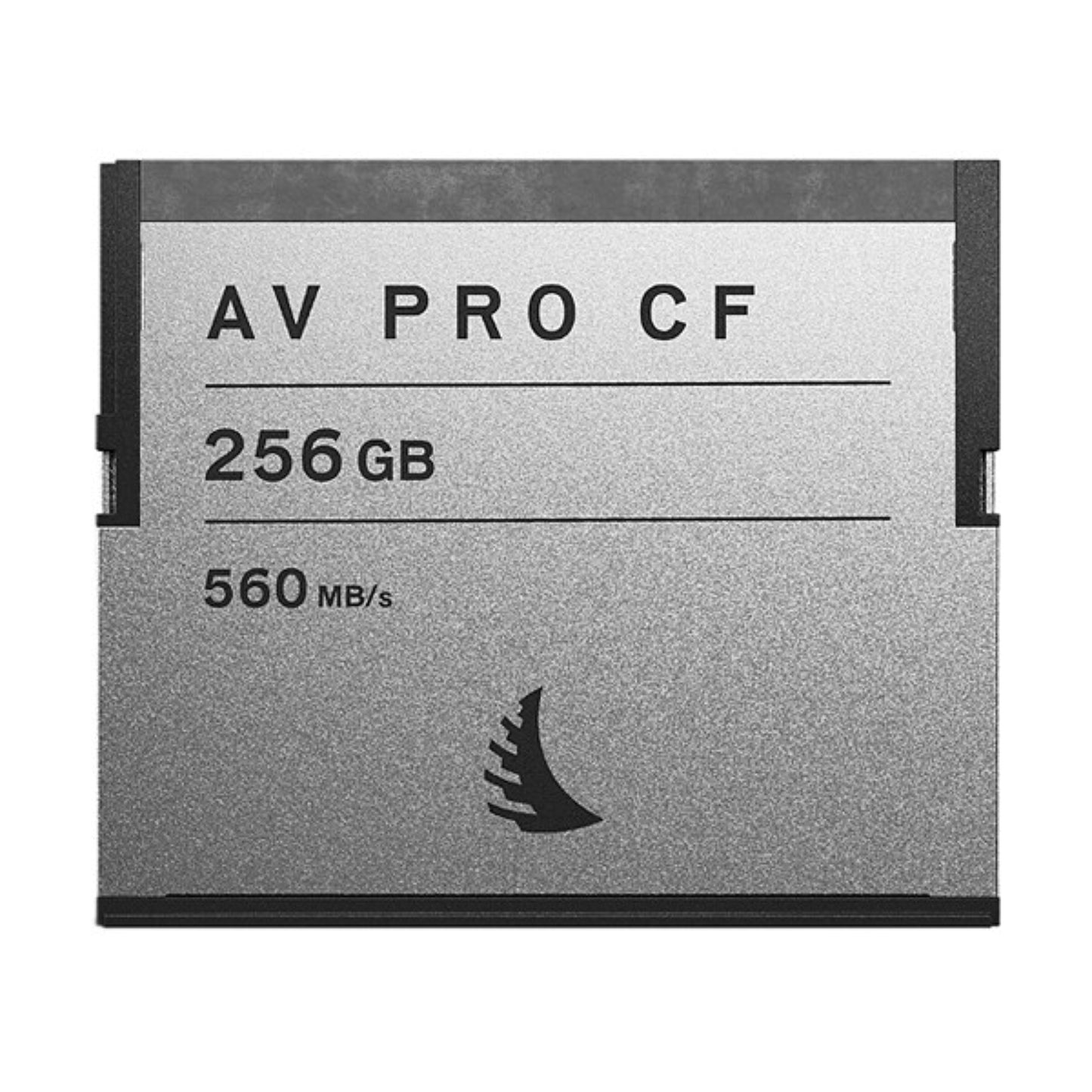 C Fast memory card 256gb for hire at Topic Rentals