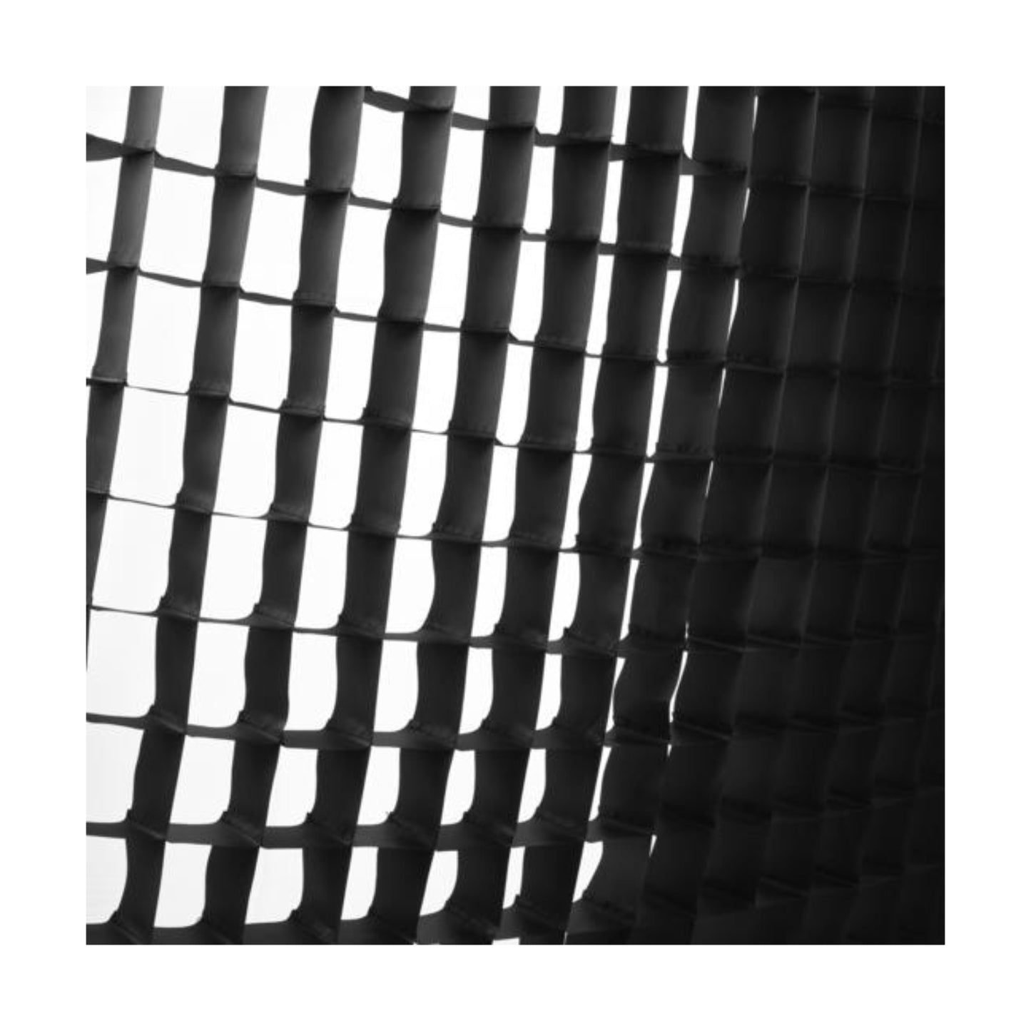 Softgrid for RFi Softbox 2 x 3ft for hire