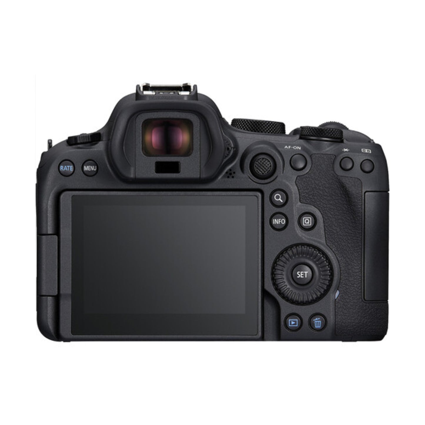 Canon R6 MK II Mirrorless camera w/ Adapter