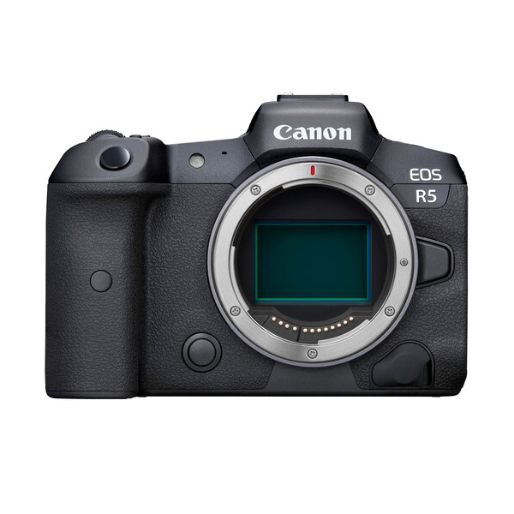 Canon R 5 Mirrorless RF mount camera for hire